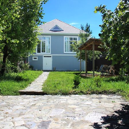 Soft Villa Gabala Luaran gambar
