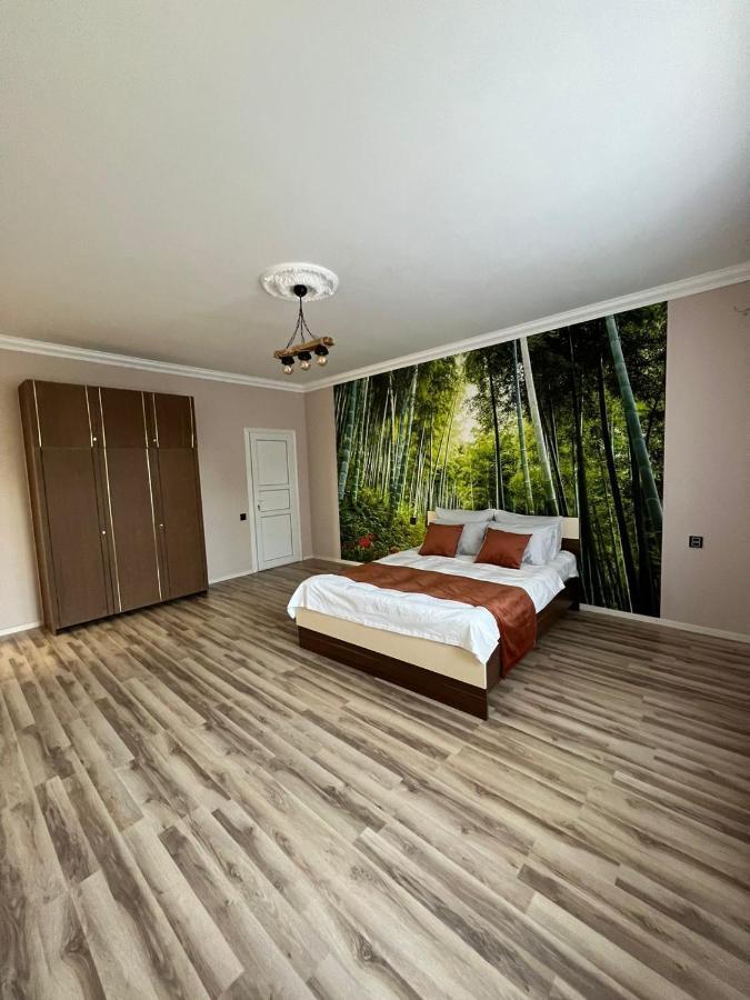 Soft Villa Gabala Luaran gambar